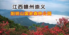 插b软件